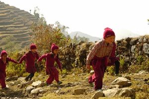 School children are affected by the cold and the number of students fallen ill is now high.