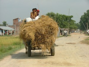 Willingness to take risks going up: scene from traditional agriculture