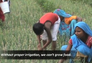 Giving farmers the word: still from Floriane Clements videos
